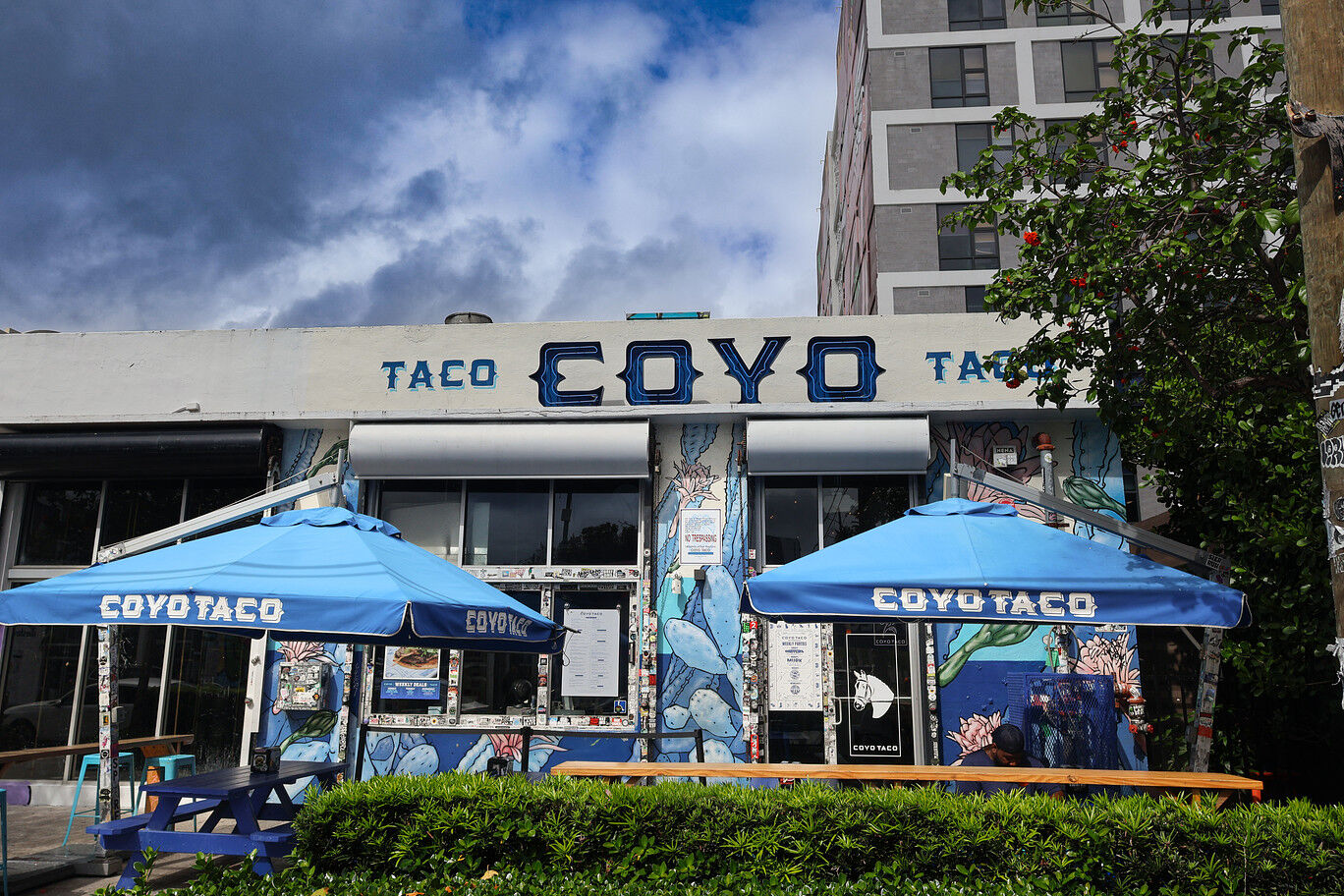 Coyo Taco photo 3