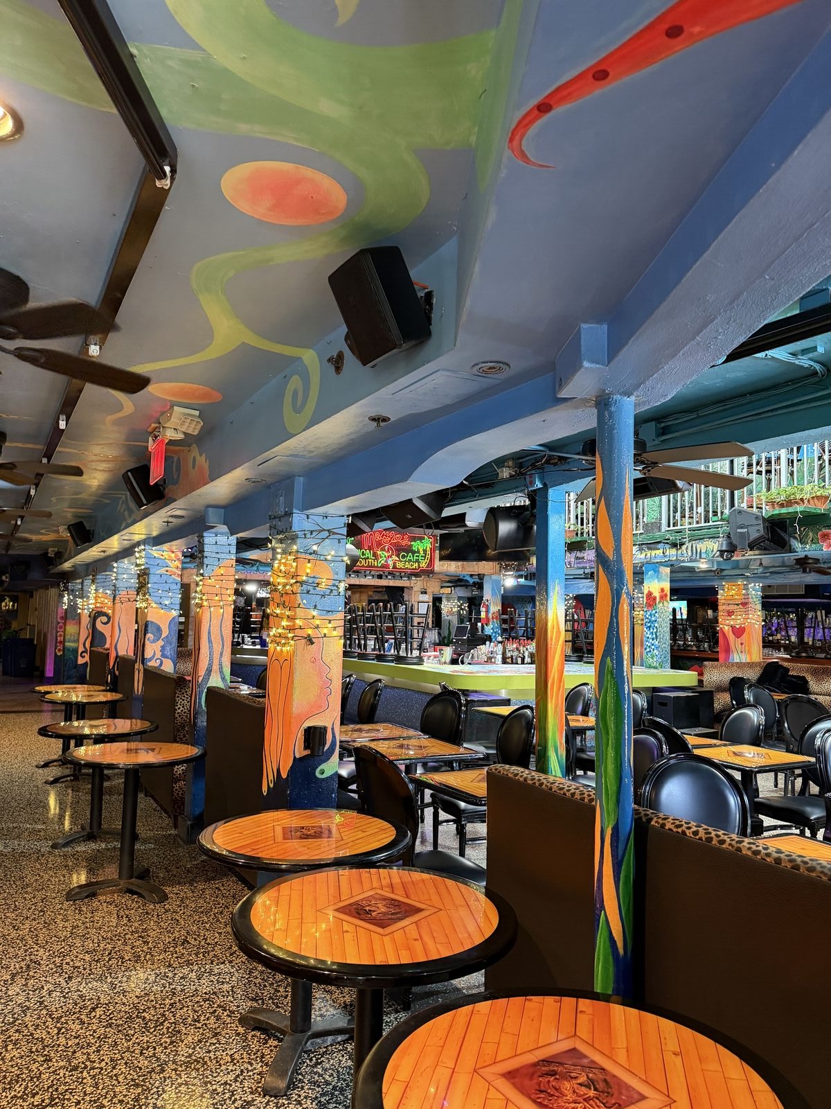 MANGO'S TROPICAL CAFE photo 2