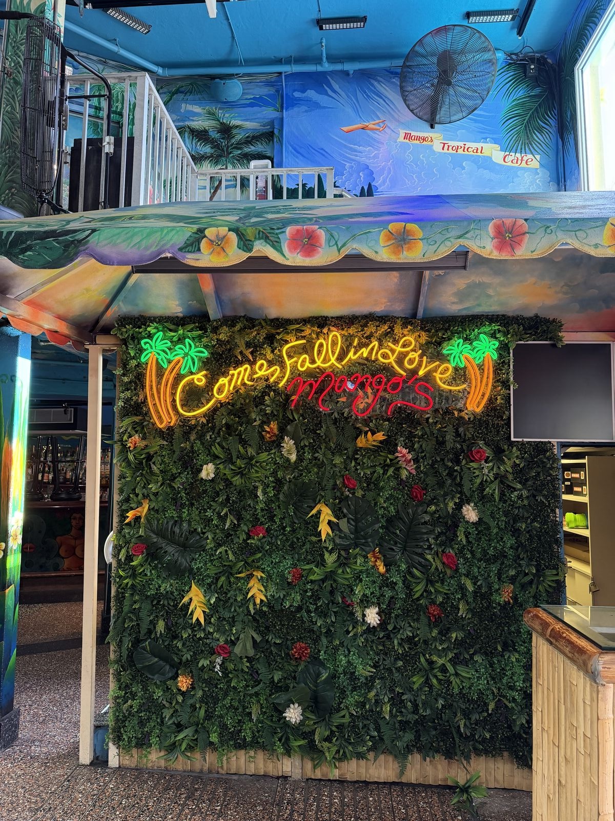MANGO'S TROPICAL CAFE photo 3