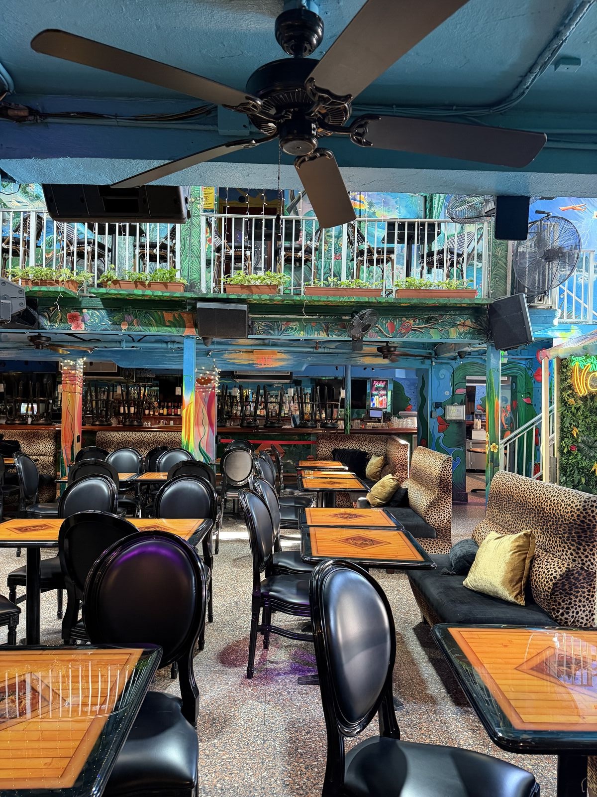 MANGO'S TROPICAL CAFE photo 6